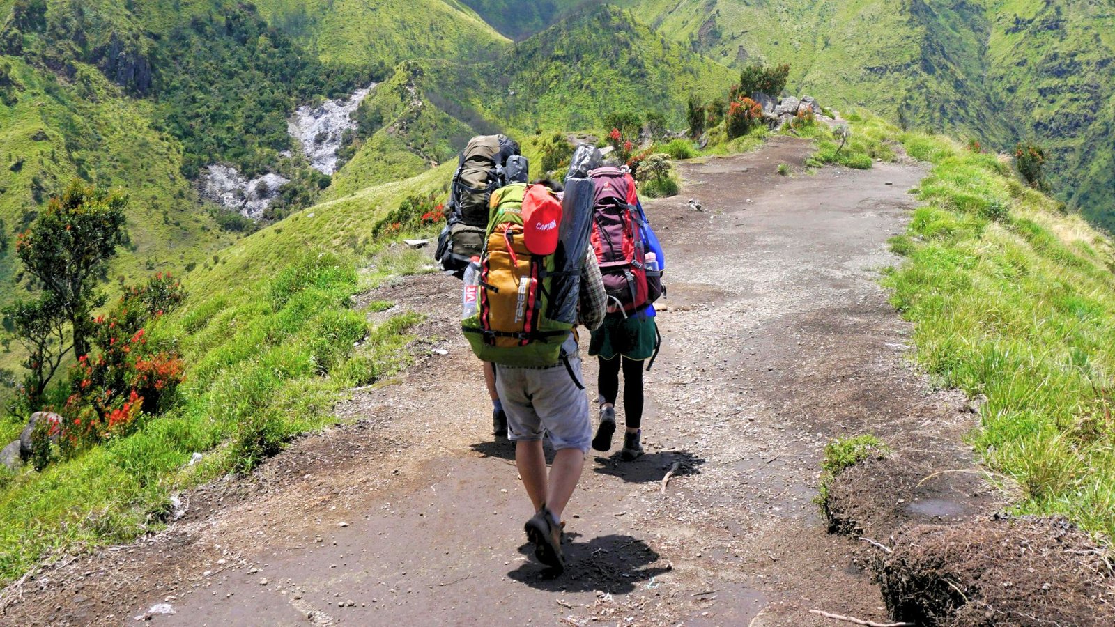 Trilheiro com mochila caminhando em mata ao amanhecer