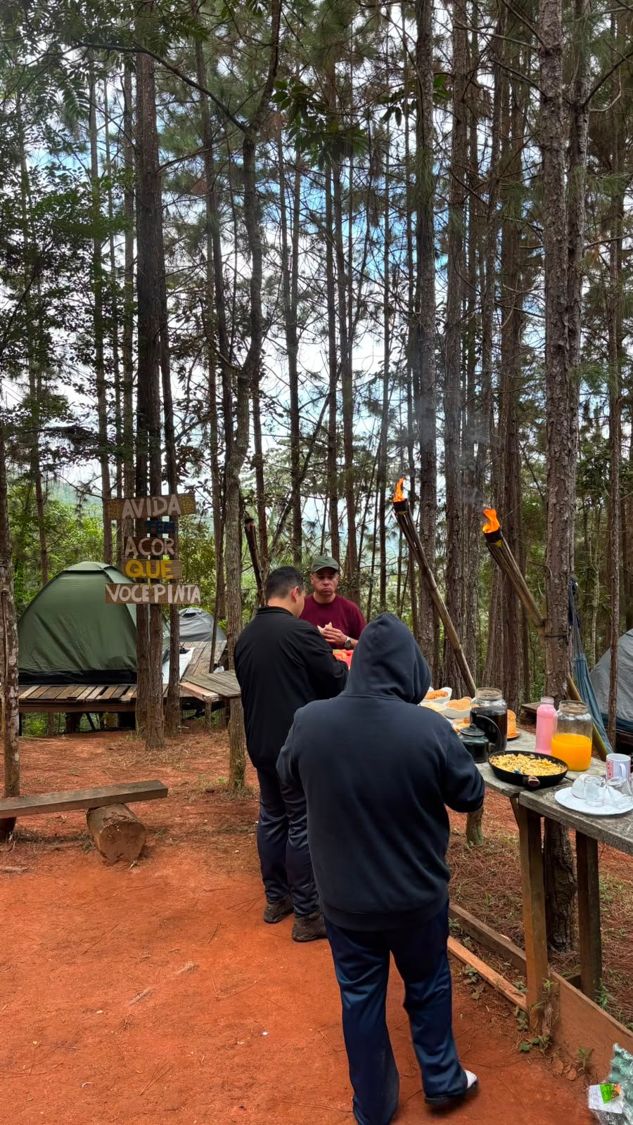Barracas no camping entre os pinheiros