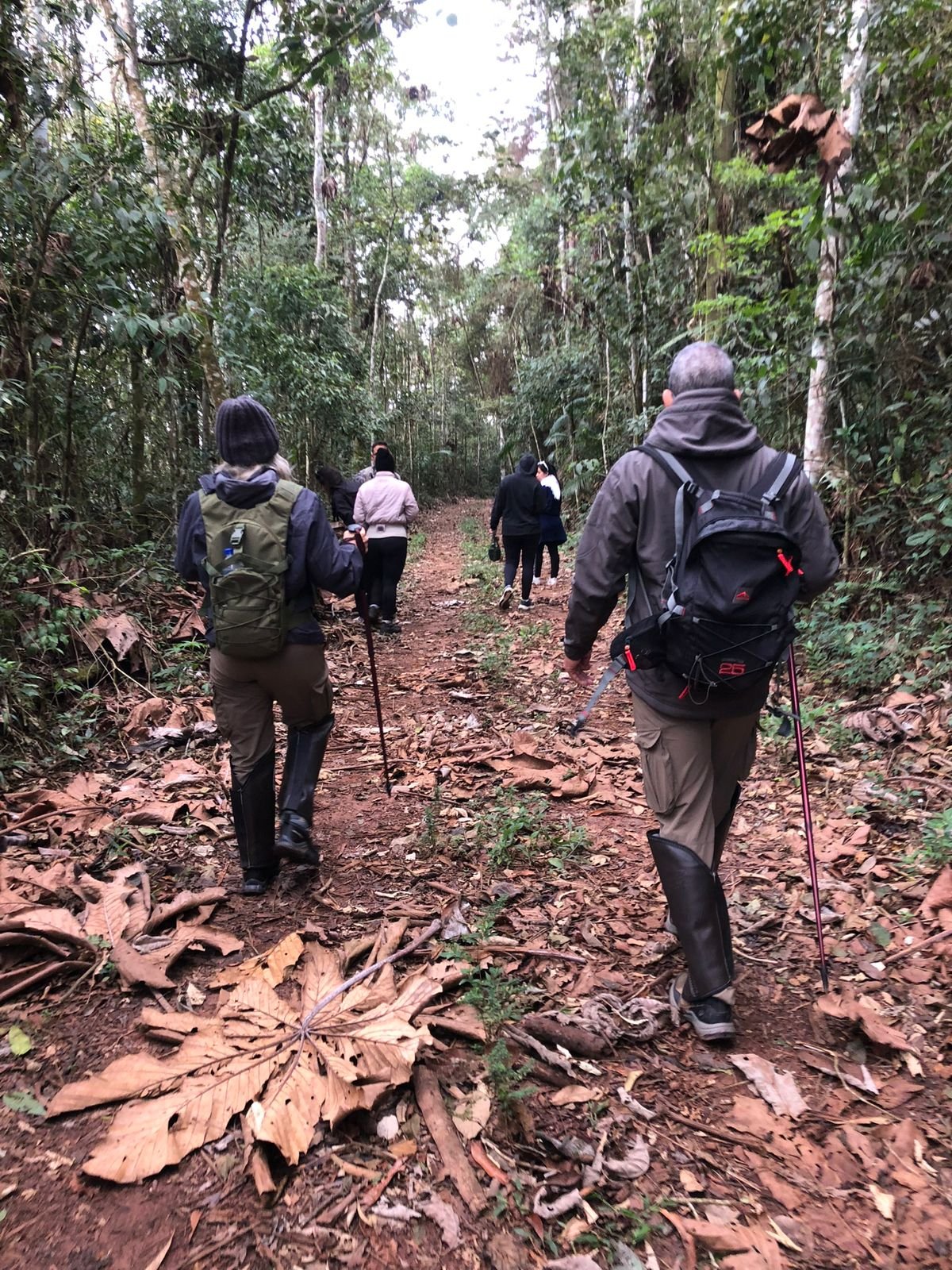 Grupo caminhando em trilha na Mata Atlântica