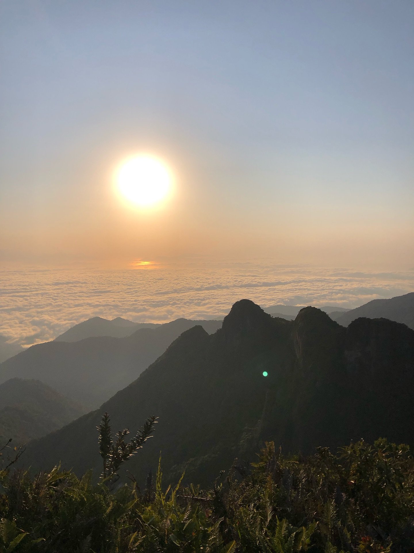 Sol nascendo sobre a vegetação nativa do cume